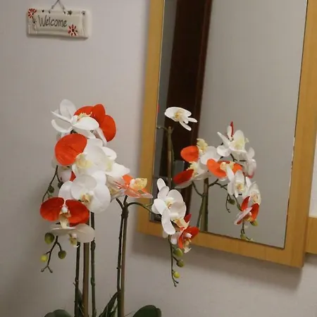 Apartmán Jadranka *