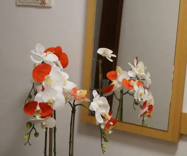 Apartamento Jadranka *